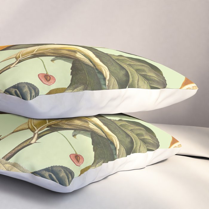 Vintage Fruit Pattern XIII Pillow Sham Gallery Image 3