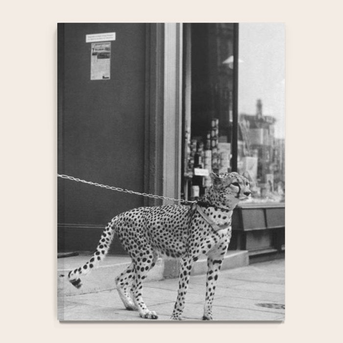 Woman with Cheetah, Phyllis Gordon, with her pet Kenyan cheetah, Paris, France black and white photo Notebook Gallery Image 4