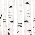 birch horizontal Coffee Mug Gallery Image 2