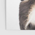 Hey Donkey Poster Gallery Image 3