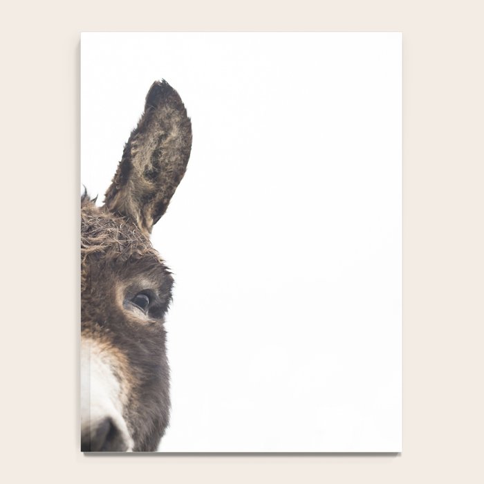 Hey Donkey Notebook Gallery Image 4