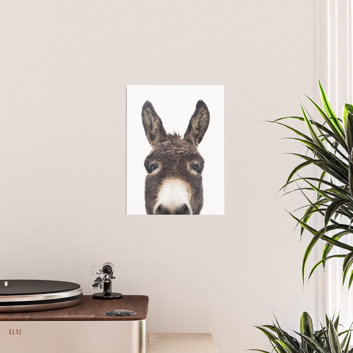Hey Donkey Poster Gallery Image 2