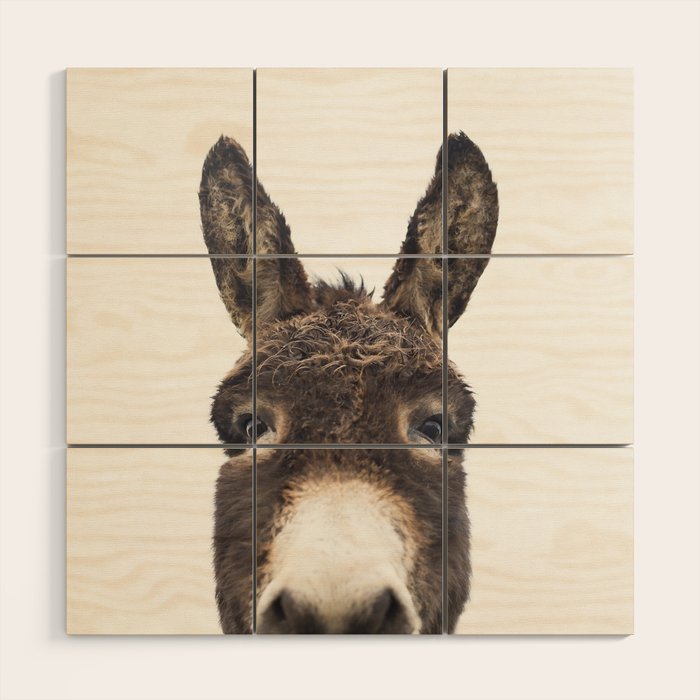 Hey Donkey Wood Wall Art Gallery Image 1