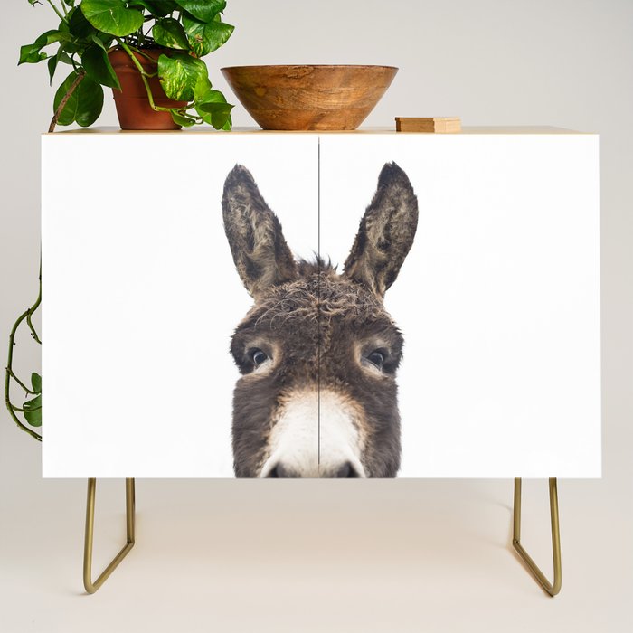 Hey Donkey Credenza Gallery Image 1