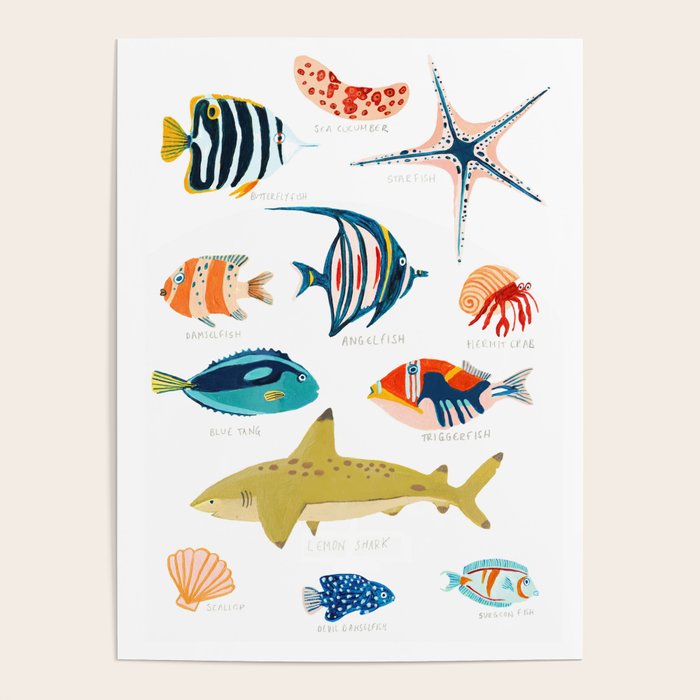 Sea Life of Fiji Poster Gallery Image 4