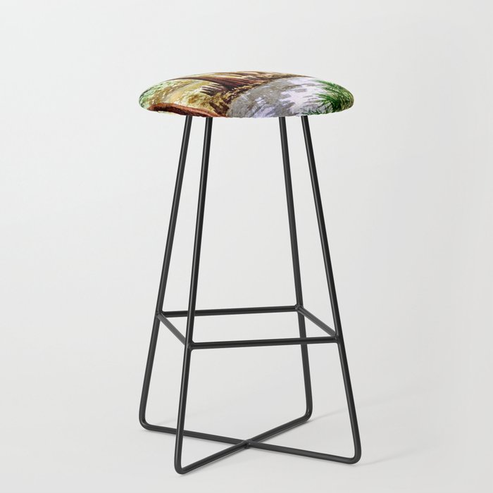 Sopchoppy River Florida Stool Gallery Image 1