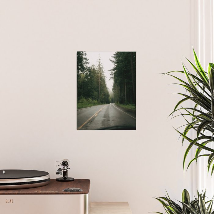 Forest Drive III Poster Gallery Image 2