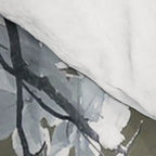 Coast 14 Comforter Gallery Image 4