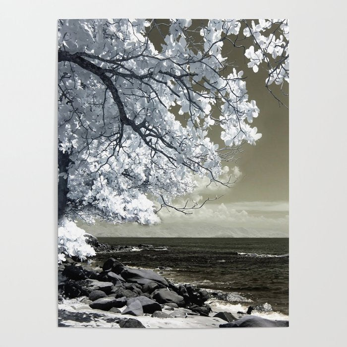 Coast 14 Poster Gallery Image 1