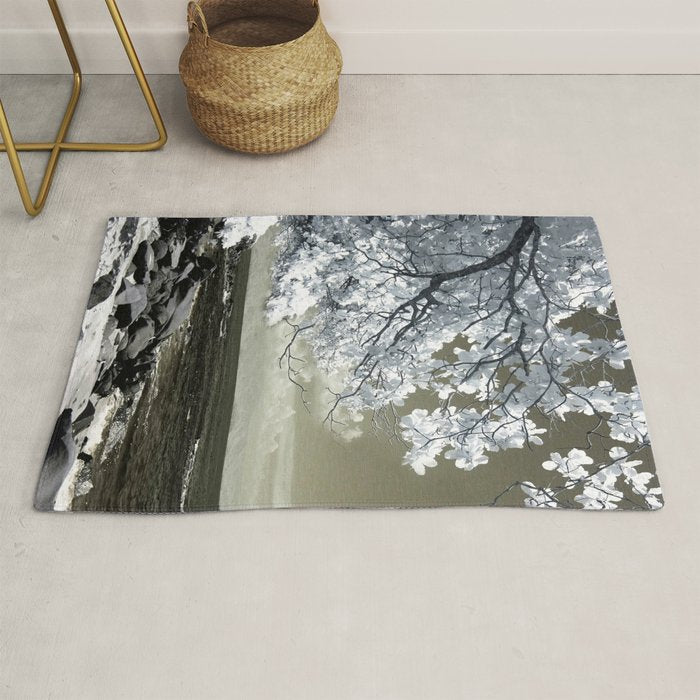 Coast 14 Rug Gallery Image 1