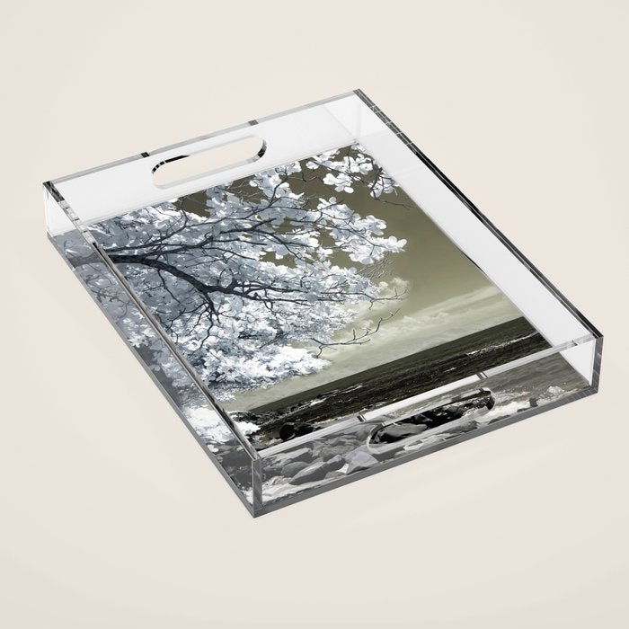 Coast 14 Acrylic Tray Gallery Image 1