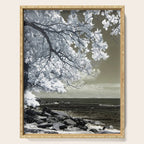 Coast 14 Serving Tray Gallery Image 1