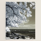 Coast 14 Jigsaw Puzzle Gallery Image 1