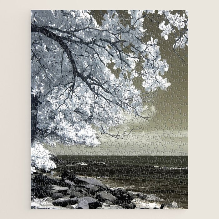 Coast 14 Jigsaw Puzzle Gallery Image 1
