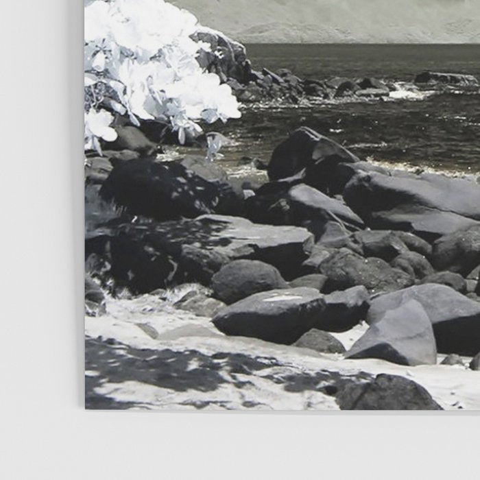 Coast 14 Poster Gallery Image 3