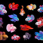 Betta Coffee Mug Gallery Image 2