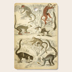 Lemurs from "The Edinburgh Journal" (1835) Cutting Board Gallery Image 1