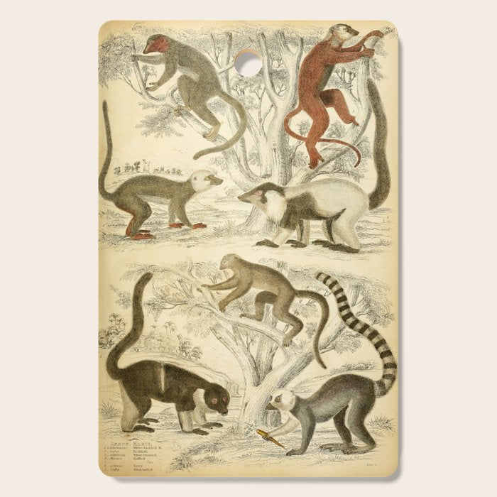 Lemurs from "The Edinburgh Journal" (1835) Cutting Board Gallery Image 1