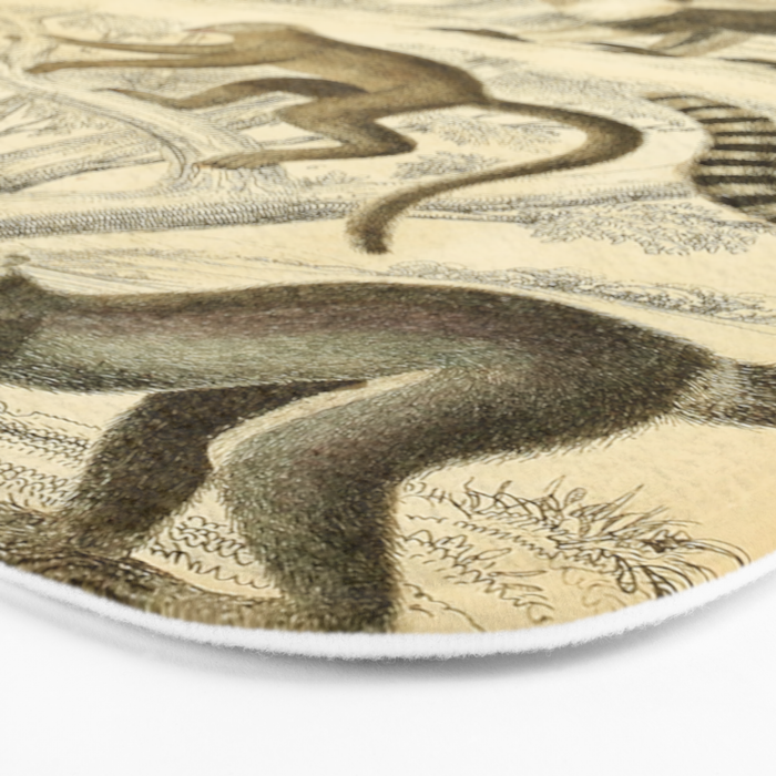 Lemurs from "The Edinburgh Journal" (1835) Bath Mat Gallery Image 3