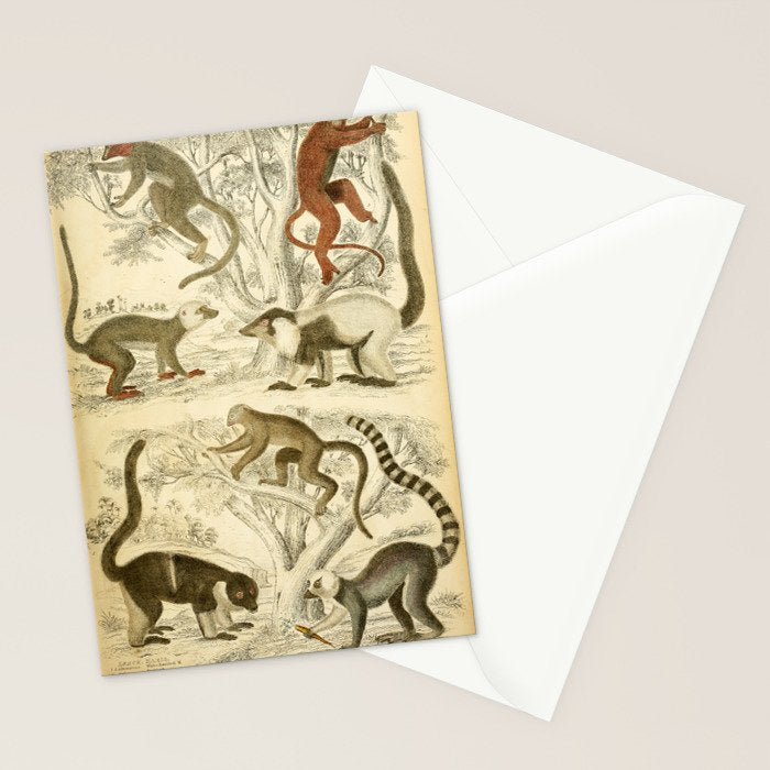 Lemurs from "The Edinburgh Journal" (1835) Stationery Card Gallery Image 2