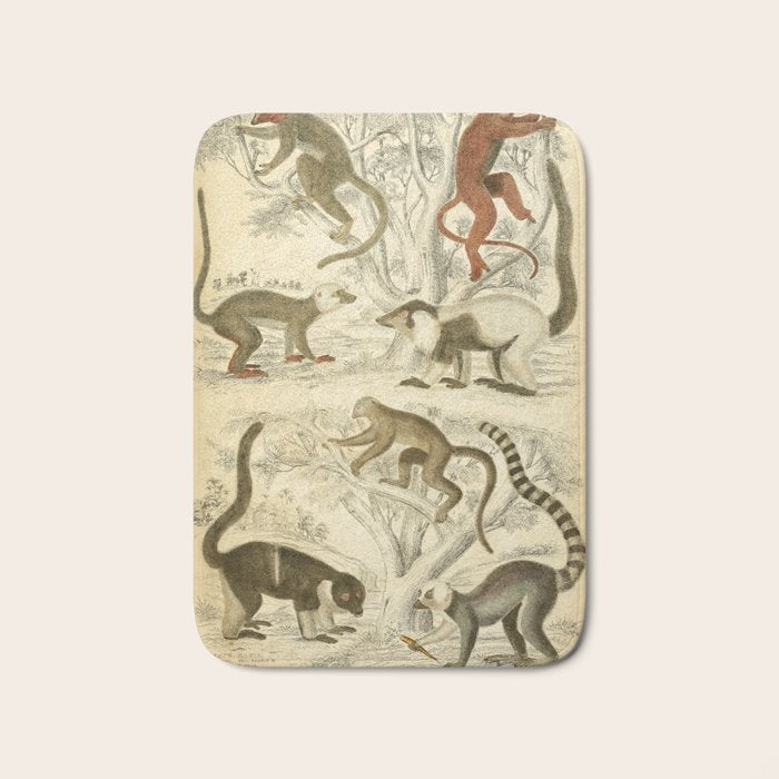 Lemurs from "The Edinburgh Journal" (1835) Bath Mat Gallery Image 1