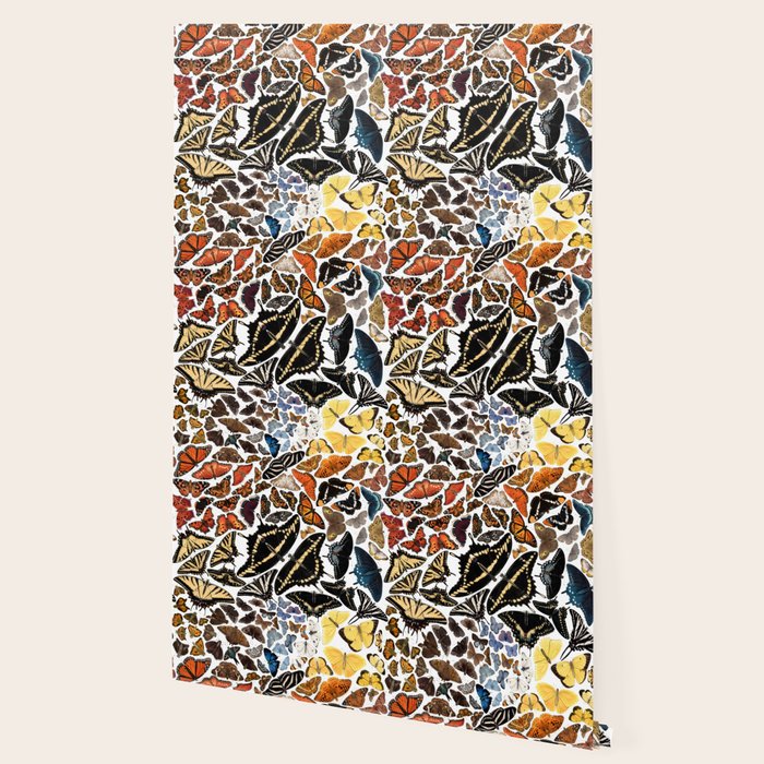 Butterflies of North America Pattern Wallpaper Gallery Image 2