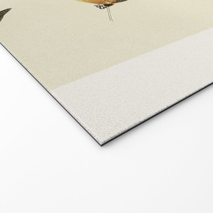 Trout Fly Fishing Welcome Mat Gallery Image 2