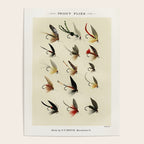 Trout Fly Fishing Poster Gallery Image 4