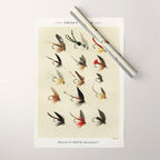Trout Fly Fishing Wrapping Paper Gallery Image 1