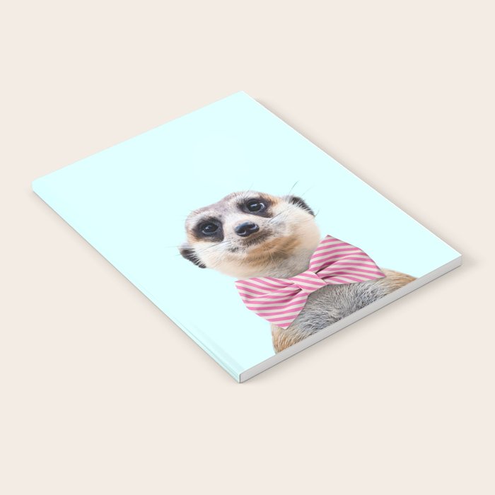 MEERKAT Notebook Gallery Image 1