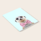 MEERKAT Notebook Gallery Image 2