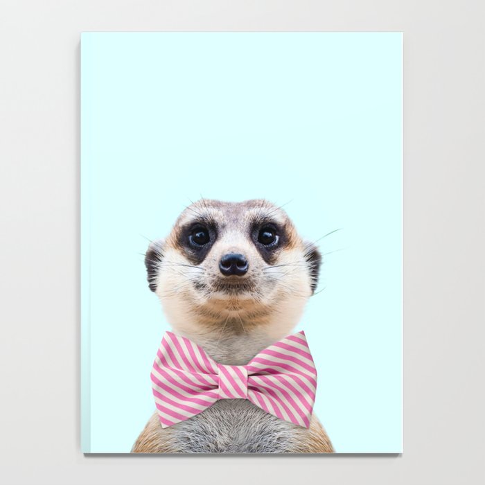 MEERKAT Notebook Gallery Image 4