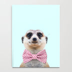 MEERKAT Notebook Gallery Image 4