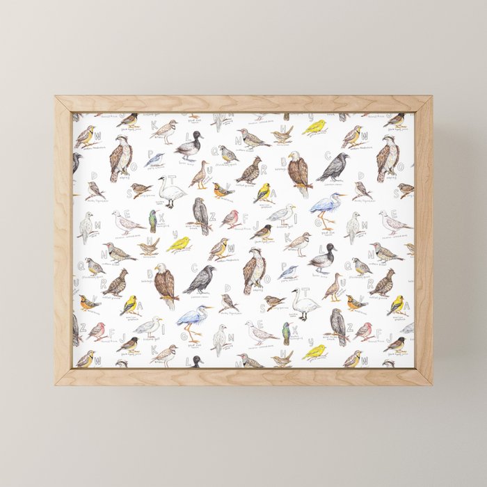 Birds of the Pacific Northwest Mini Art Print Gallery Image 1