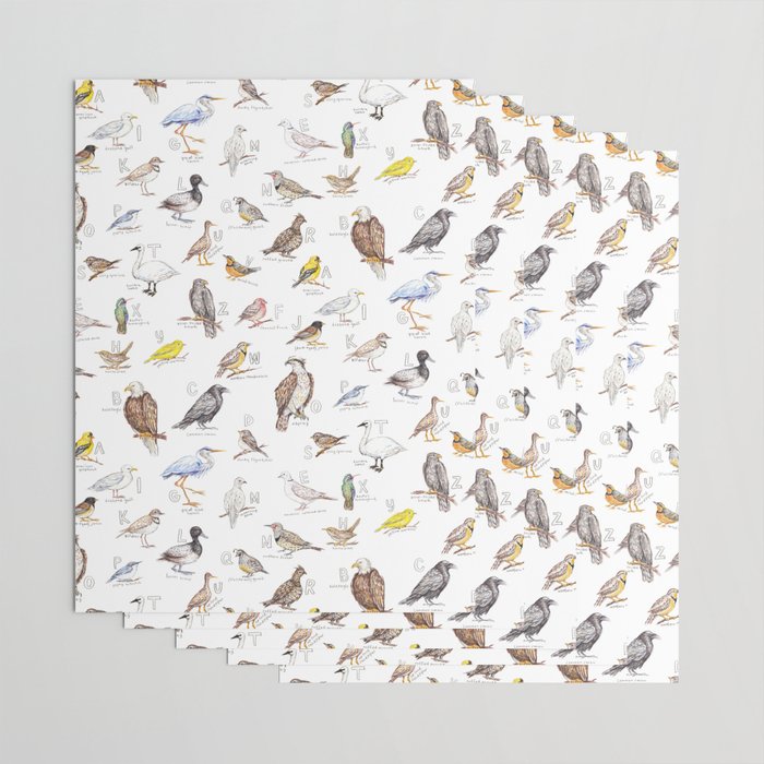 Birds of the Pacific Northwest Wrapping Paper Gallery Image 3
