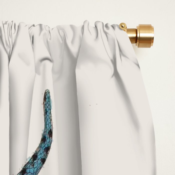 Albertus Seba Snakes Blue Snake  Window Curtain Gallery Image 2