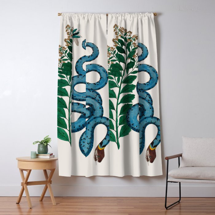 Albertus Seba Snakes Blue Snake  Window Curtain Gallery Image 5