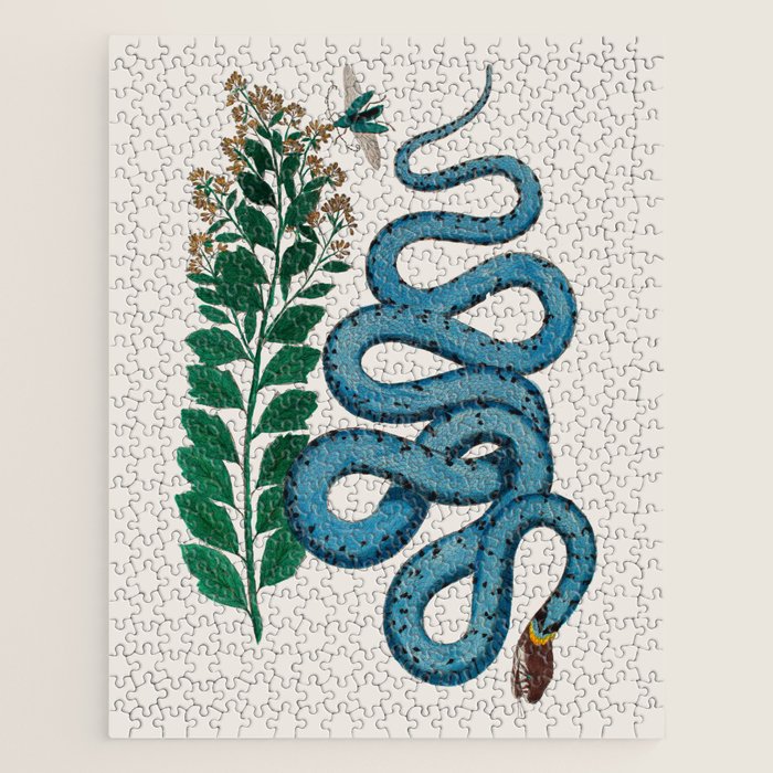 Albertus Seba Snakes Blue Snake  Jigsaw Puzzle Gallery Image 1