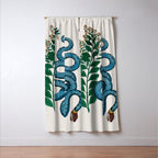 Albertus Seba Snakes Blue Snake  Window Curtain Gallery Image 3