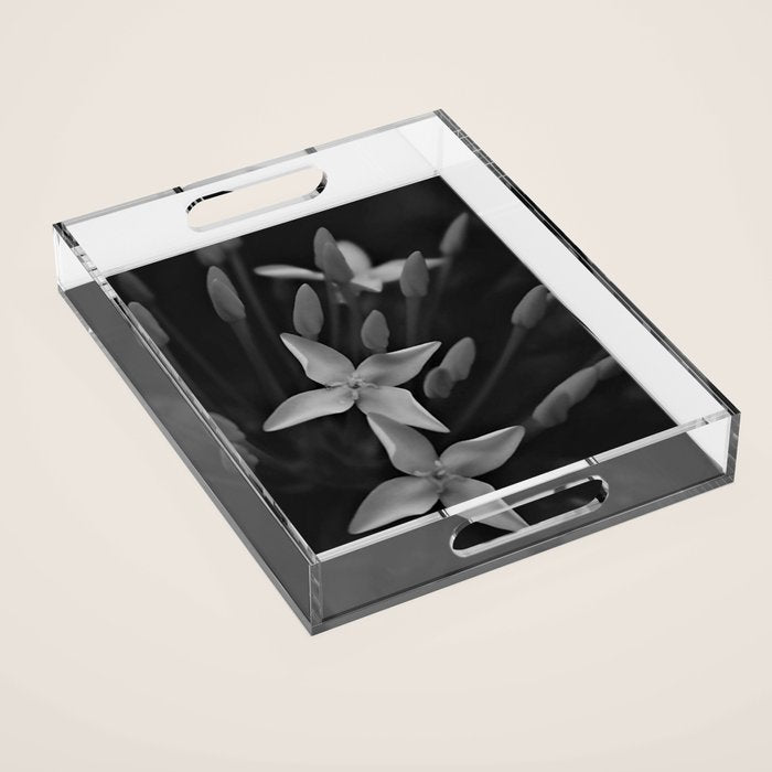 West Indian Jasmine 4-petaled flowers black and white photography / photograph Acrylic Tray Gallery Image 1