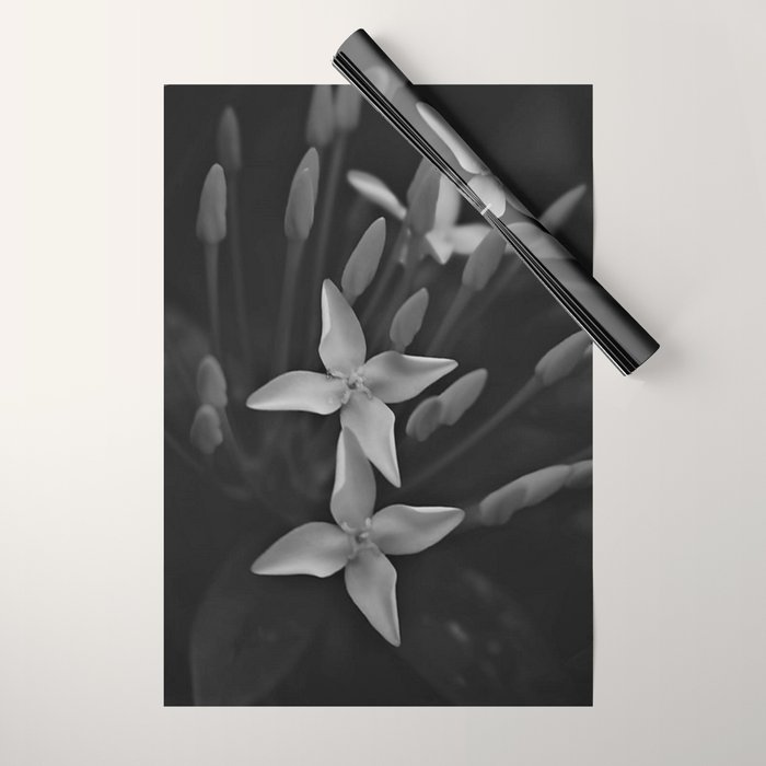 West Indian Jasmine 4-petaled flowers black and white photography / photograph Wrapping Paper Gallery Image 1