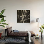West Indian Jasmine 4-petaled flowers black and white photography / photograph Wood Wall Art Gallery Image 2