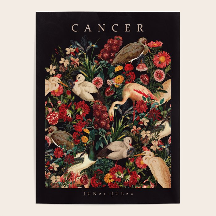 CANCER II Poster Gallery Image 4
