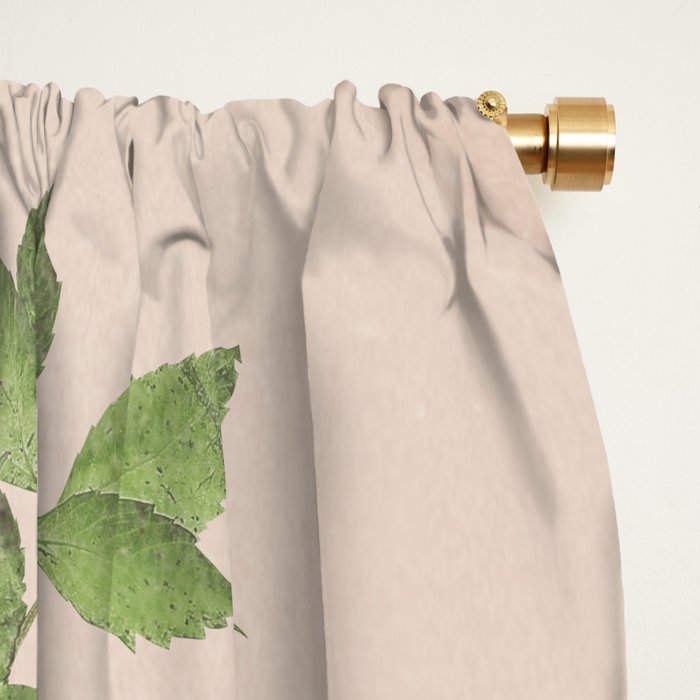 Floral beauty 14 Window Curtain Gallery Image 2