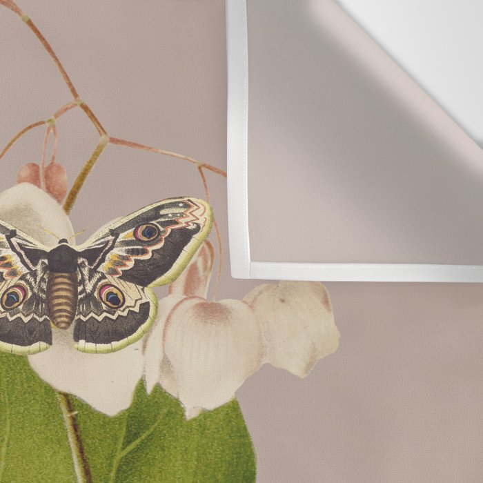 Minimal Collage/ Hand, Plants and Butterflies 8 Wall Tapestry Gallery Image 3