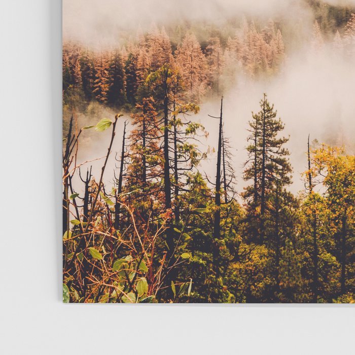 Amazing Yosemite California Forest Waterfall Canyon Poster Gallery Image 3