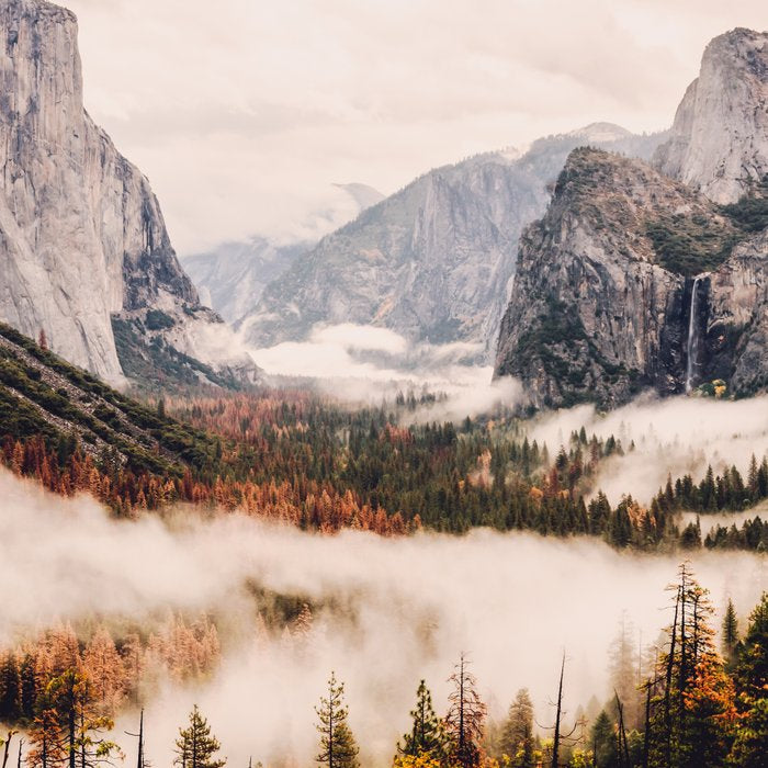 Amazing Yosemite California Forest Waterfall Canyon Coffee Mug Gallery Image 2