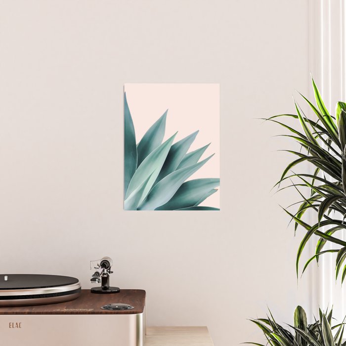 Agave flare II - peach Poster Gallery Image 2