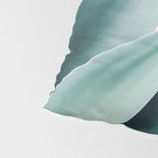 Agave flare II - peach Pillow Sham Gallery Image 4