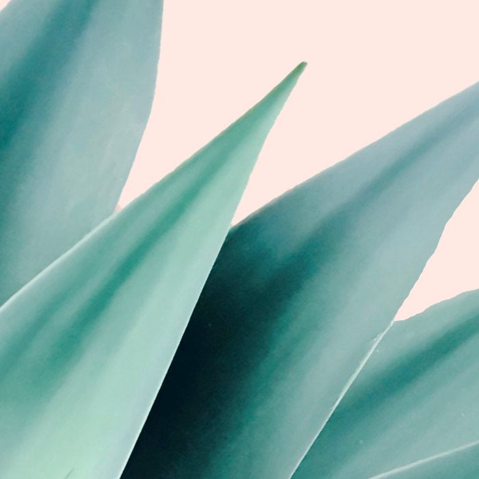 Agave flare II - peach Coffee Mug Gallery Image 2